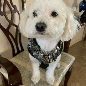 Meet your Posher, Brian